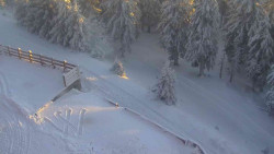 Přístup na běžeckou trať