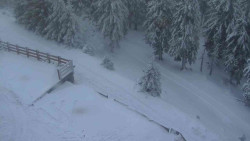 Přístup na běžeckou trať