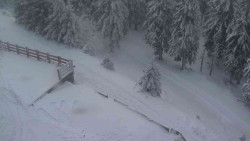 Přístup na běžeckou trať