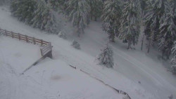 Přístup na běžeckou trať