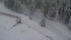 Přístup na běžeckou trať