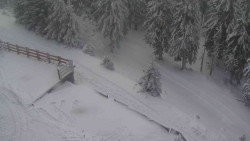 Přístup na běžeckou trať