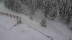 Přístup na běžeckou trať