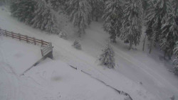 Přístup na běžeckou trať