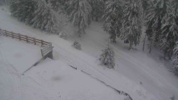 Přístup na běžeckou trať