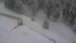 Přístup na běžeckou trať