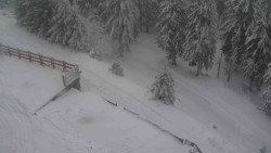 Přístup na běžeckou trať