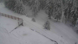 Přístup na běžeckou trať