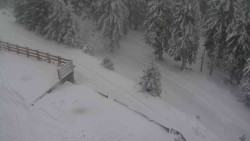 Přístup na běžeckou trať