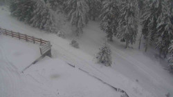 Přístup na běžeckou trať