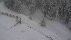 Přístup na běžeckou trať