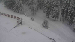 Přístup na běžeckou trať