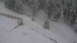 Přístup na běžeckou trať