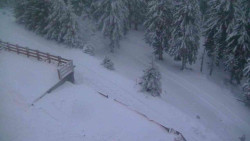 Přístup na běžeckou trať