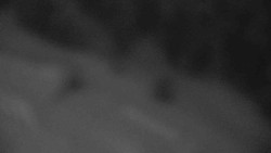 Přístup na běžeckou trať