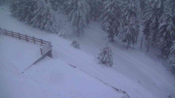 Přístup na běžeckou trať