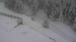 Přístup na běžeckou trať