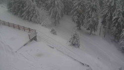 Přístup na běžeckou trať