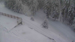 Přístup na běžeckou trať