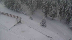 Přístup na běžeckou trať