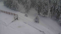 Přístup na běžeckou trať