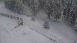 Přístup na běžeckou trať