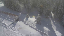 Přístup na běžeckou trať