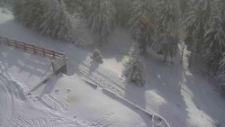 Přístup na běžeckou trať