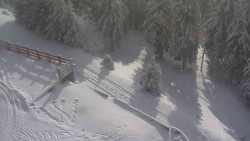 Přístup na běžeckou trať