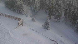 Přístup na běžeckou trať