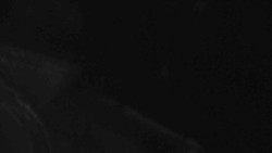 Přístup na běžeckou trať