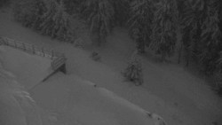 Přístup na běžeckou trať