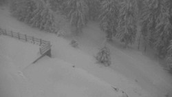 Přístup na běžeckou trať