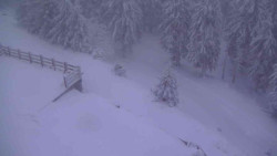 Přístup na běžeckou trať