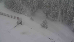 Přístup na běžeckou trať