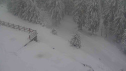 Přístup na běžeckou trať