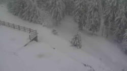 Přístup na běžeckou trať