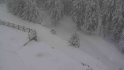 Přístup na běžeckou trať