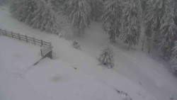 Přístup na běžeckou trať