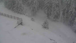 Přístup na běžeckou trať