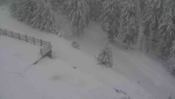 Přístup na běžeckou trať