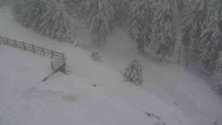 Přístup na běžeckou trať