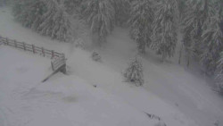 Přístup na běžeckou trať