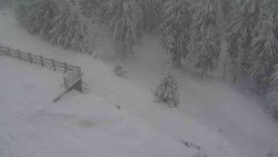 Přístup na běžeckou trať