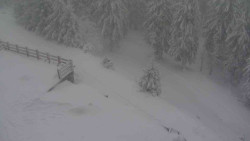 Přístup na běžeckou trať