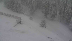 Přístup na běžeckou trať