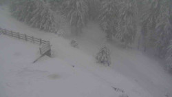 Přístup na běžeckou trať