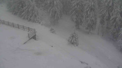 Přístup na běžeckou trať