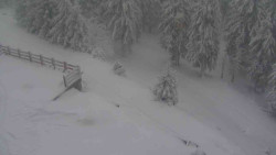 Přístup na běžeckou trať