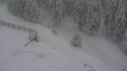 Přístup na běžeckou trať